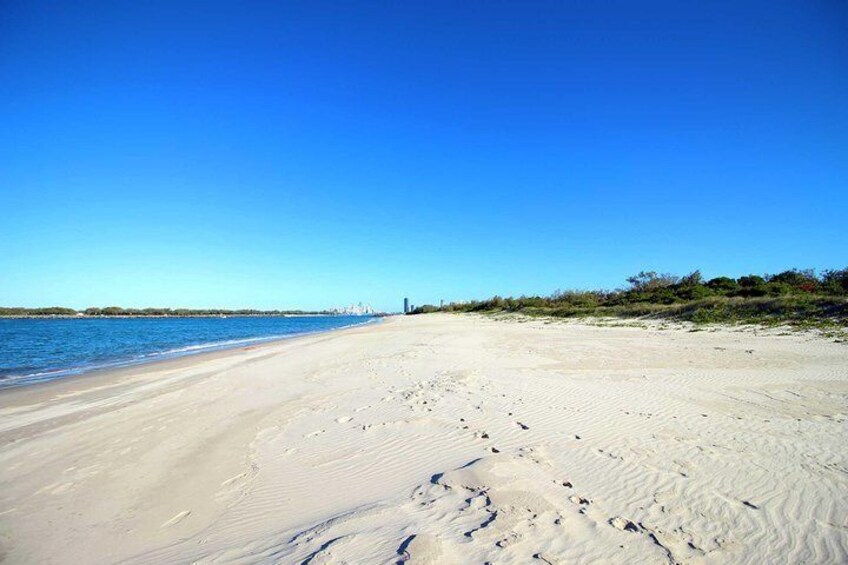 Gold Coast Scuba Diving