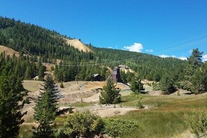 Colorado Gold Rush Mountain and Mine Tour