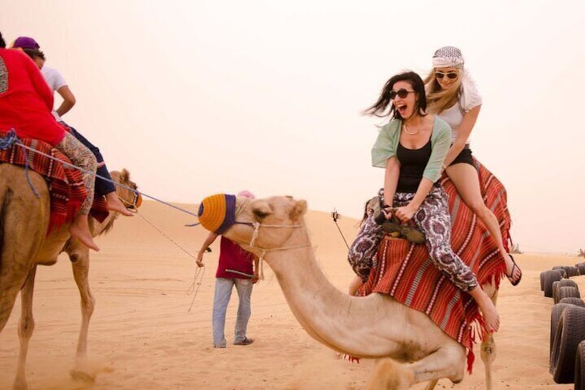 Dubai desert safari, Dinner, Shows, Camel ride, Sand boarding, Optional ATV ride