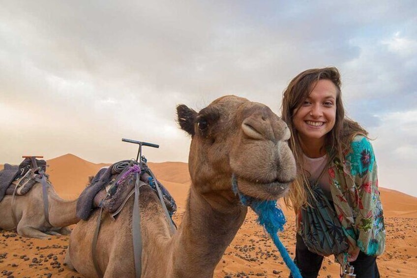 Red Sand Dunes Desert Safari, BBQ Dinner, Camel Ride, Sand Boarding In Dubai