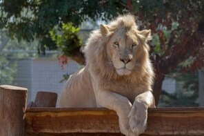 Pafos Zoo
