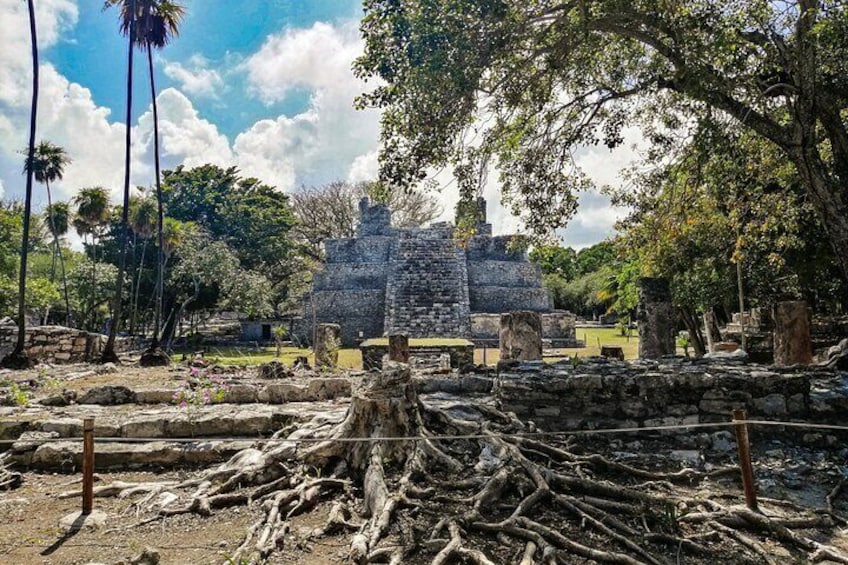 Cancun City Adventure! Private Half Day Tour