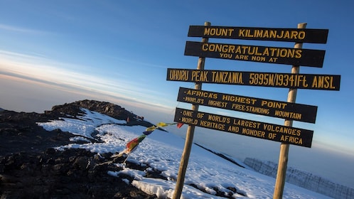9 Tage Kilimandscharo-Besteigung - Machame Route