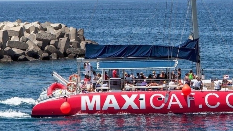 Eco-Catamaran Cruise from Puerto Colon with transfer