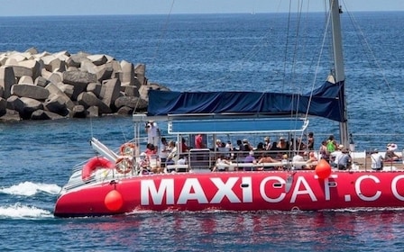 Eco-Catamaran cruise vanuit Puerto Colon
