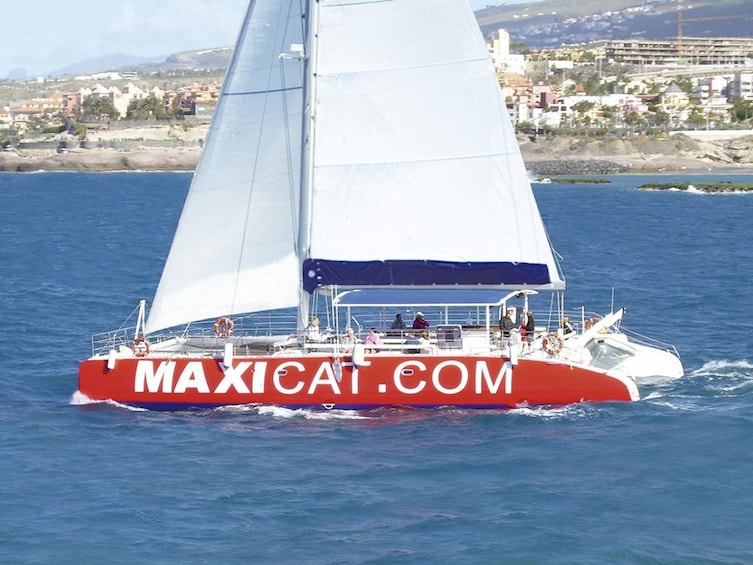 Eco-Catamaran Cruise from Puerto Colon with transfer 