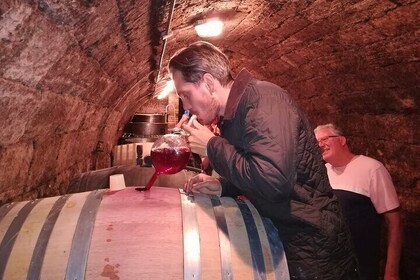 Budapest Etyek Wine Region Tasting Tour with Meal and Pickup