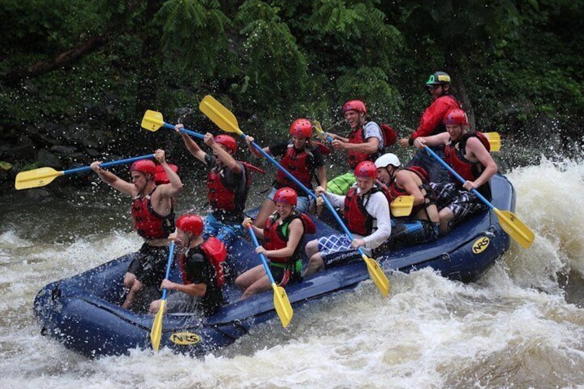 Large boats for groups of 8 or 9 guest