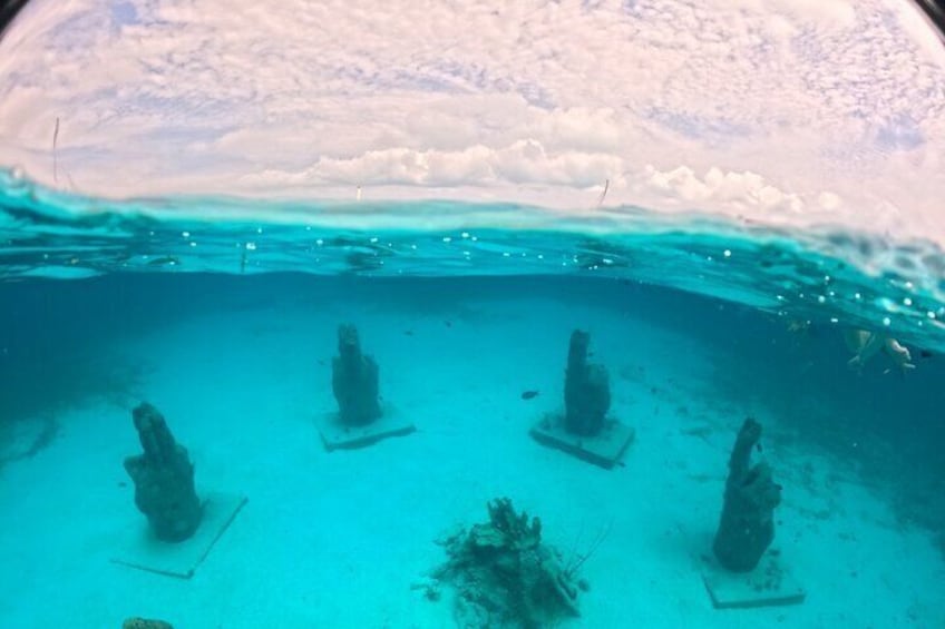 Live The Luxury Catamaran Isla Mujeres Tour in Cancun