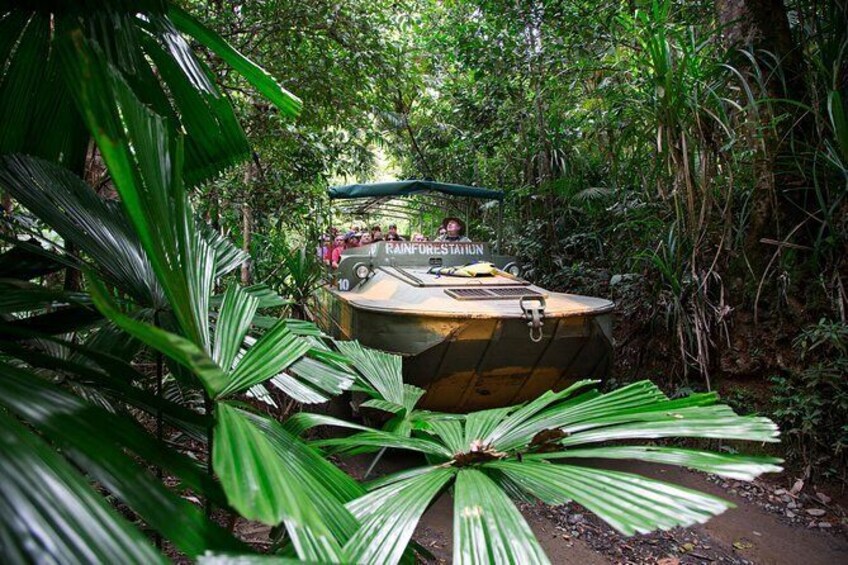 Show item 2 of 8. Skip the Line: Kuranda Rainforestation Nature Park Ticket