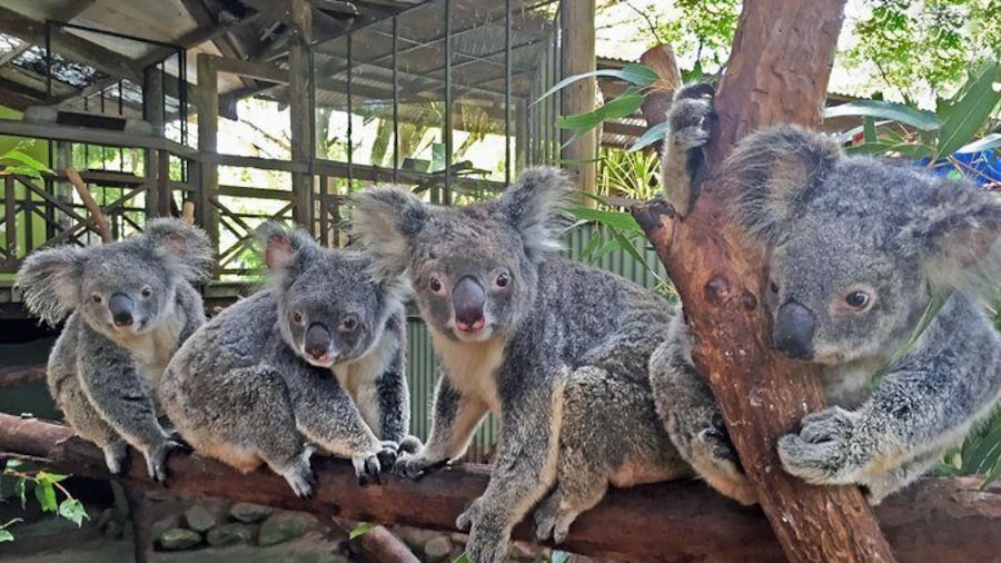 Wildlife Park