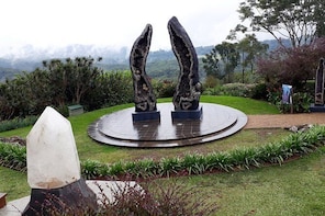 Crystal Castle & Byron Bay Personal Private Tour with Local Guide