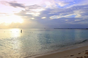 Seafarer Adventures Grand Cayman Bioluminous Tour