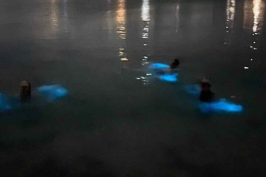 Guests swimming in the bio bay