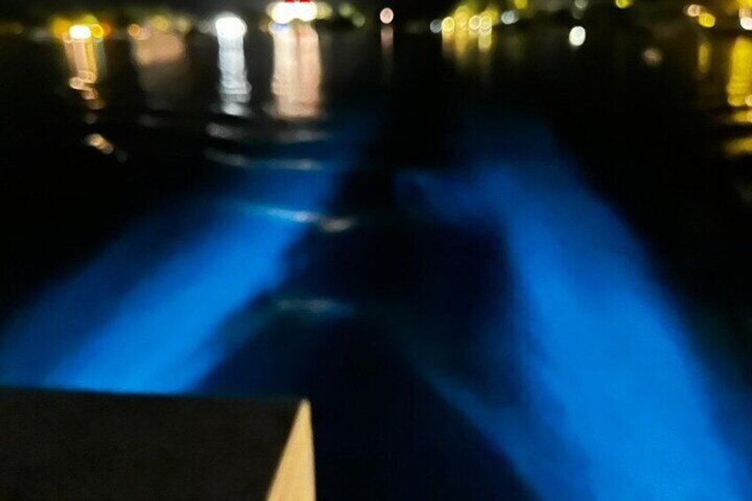 Propeller wash glowing as we leave the bio bay