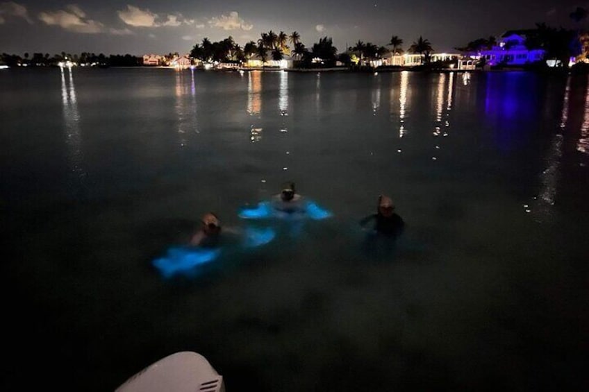 Guests swimming in the bio bay