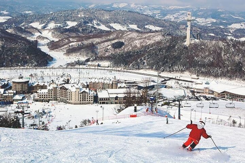 Seoul ⇄ Alpensia / Yongpyong Ski Resort Private Van Transfers