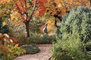 Skip the Line: Admission Ticket