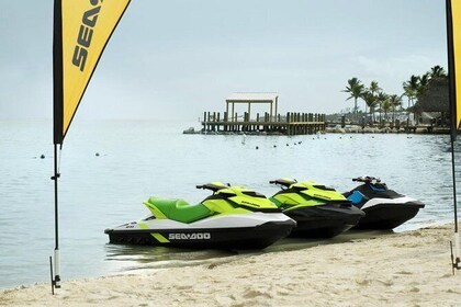 waverunner quail
