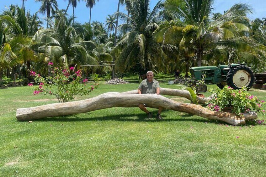 ME IN THE COCONUT PLANTATION