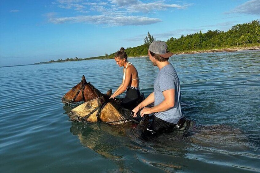 Reggae horseback riding ocean swim is amazing! These horses are well trained. Our beach ride n’ swim is dubbed as the best horseback experience! Awesome !!!
Trained 