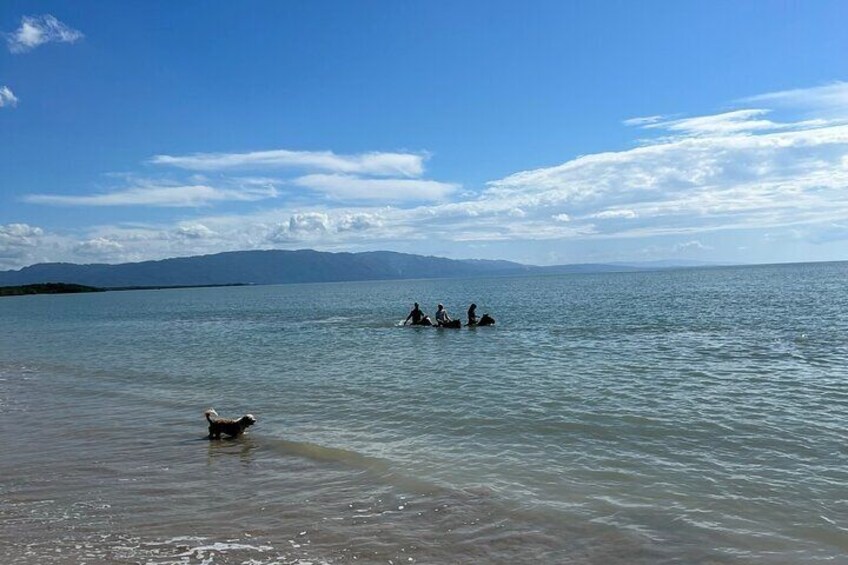 Come experience Negril, Jamaica’s & our South -Coast overlooking the mountains, while swimming our reggae horses in pristine turquoise warm Caribbean Sea , AWESOME !!!