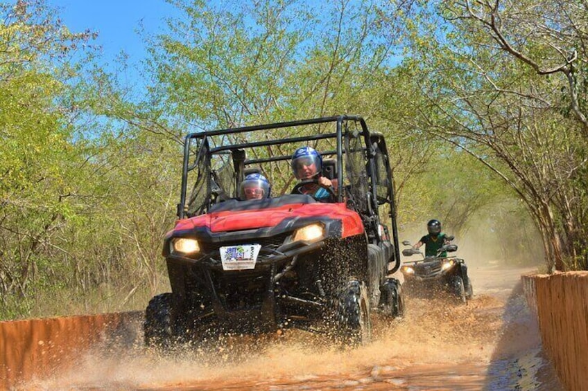 You will ride the latest ATV models across diverse terrain.