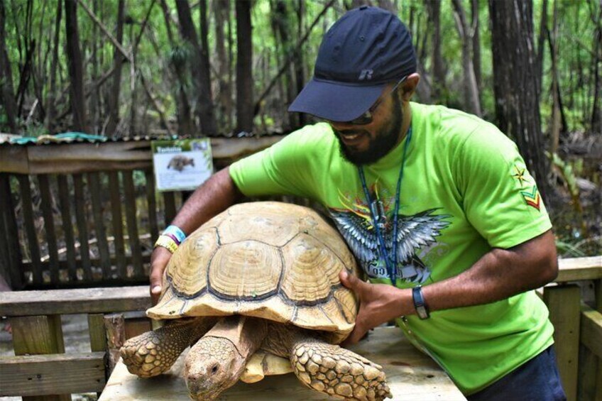 Off-Road ATV Adventure & Safari Tour Combo in Negril