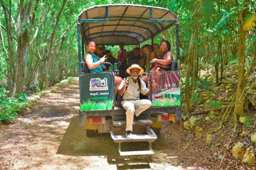 Safari Tour