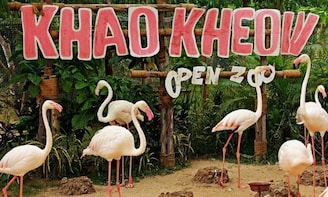Khao Kheow Open Zoo Ticket Pattaya