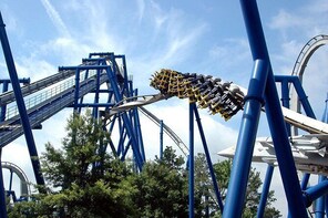 Central London to Paultons Park Home of Peppa Pig World Private Transfer