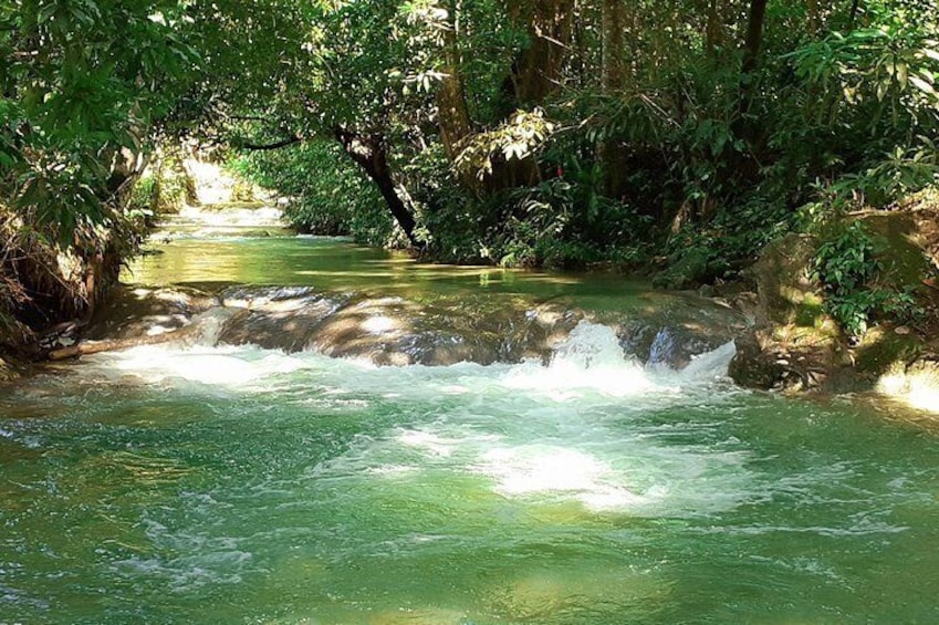 Mayfield Falls nature walk