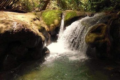 Mayfield Falls nature walk