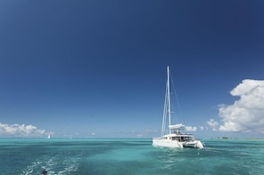 St Lucia West Coast Catamaran Cruise to Soufriere and Sulphur Springs