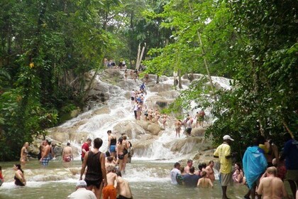 [PRIVATE]Dunn's River & Martha Brae Rafting - ingång och lunch