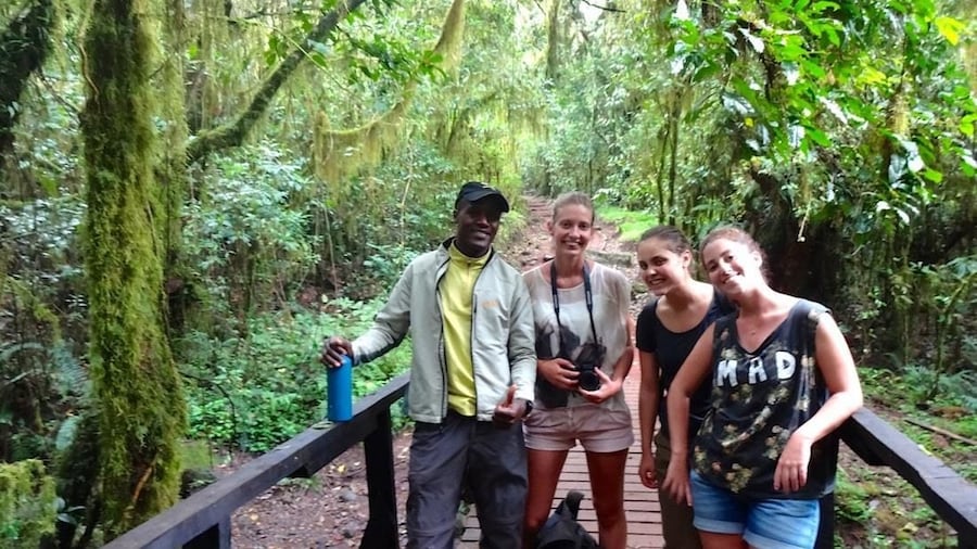 Mount Kilimanjaro Day Tour