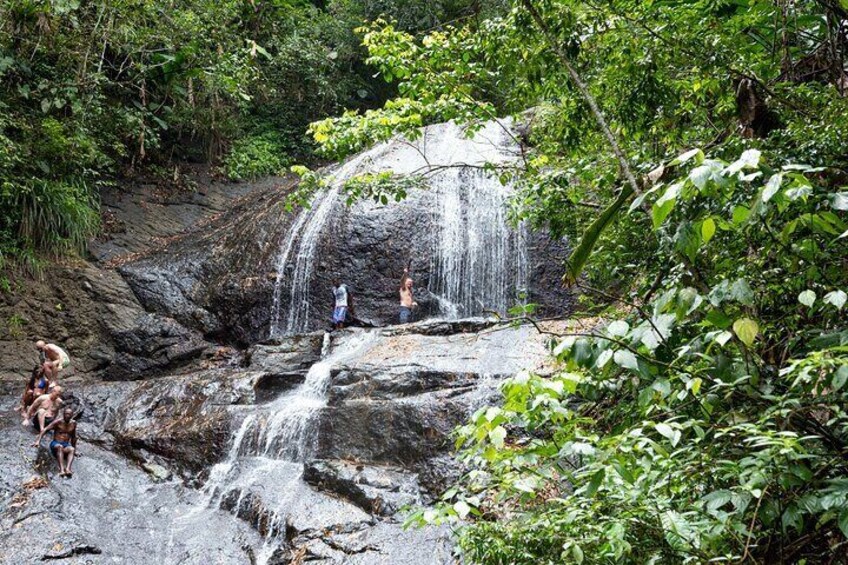 Rainforest Hike and Waterfall Safari