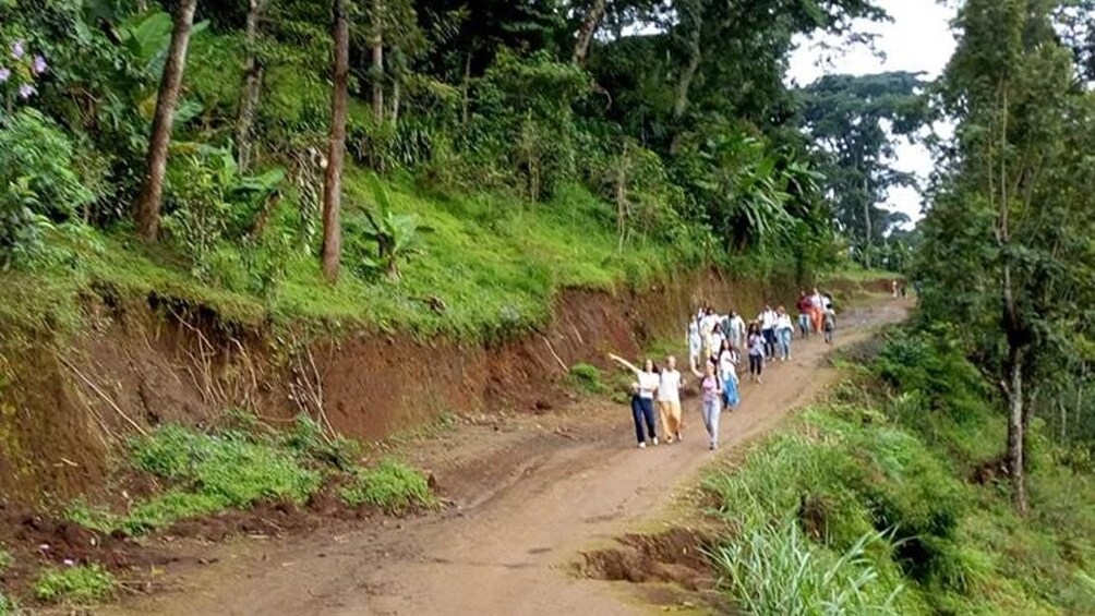 Materuni Village and Waterfall Day Tour