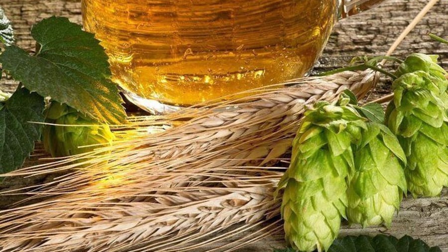 Canandaigua Lake Brewery Tour