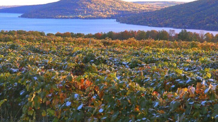 Canandaigua Wine Trail Experience