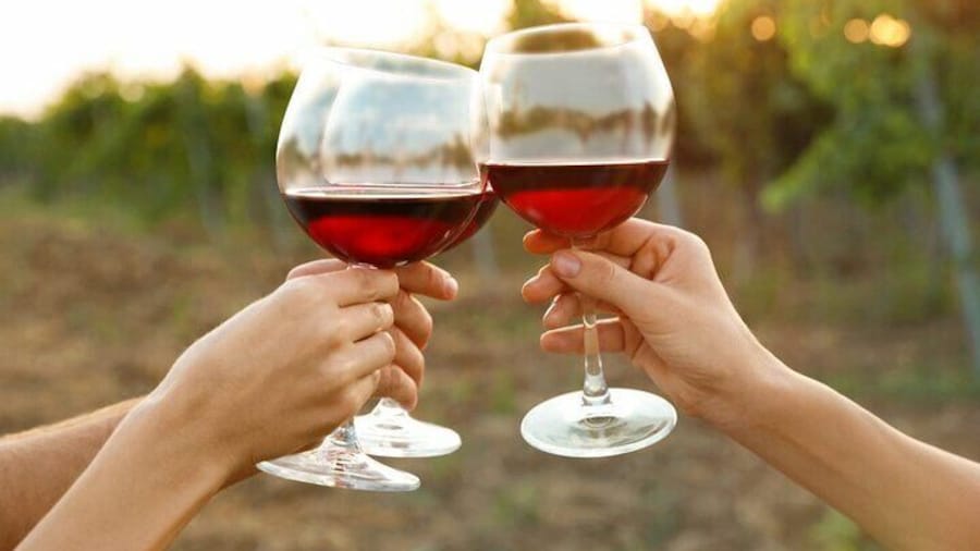 Canandaigua Wine Trail Experience