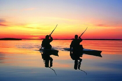 Kayaking Jeffreys Bay