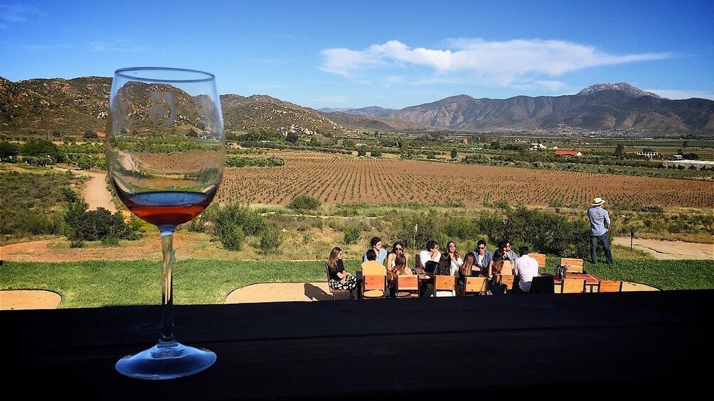 Mexico: Private wine & cheese tour to Queretaro
