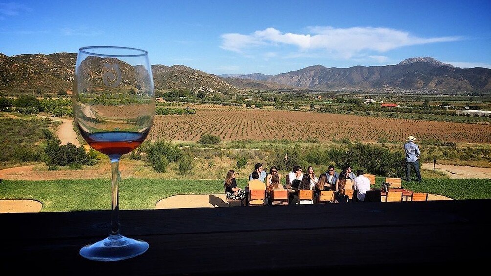 Mexico: Private wine & cheese tour to Queretaro