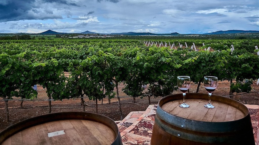 Mexico: Private wine & cheese tour to Queretaro