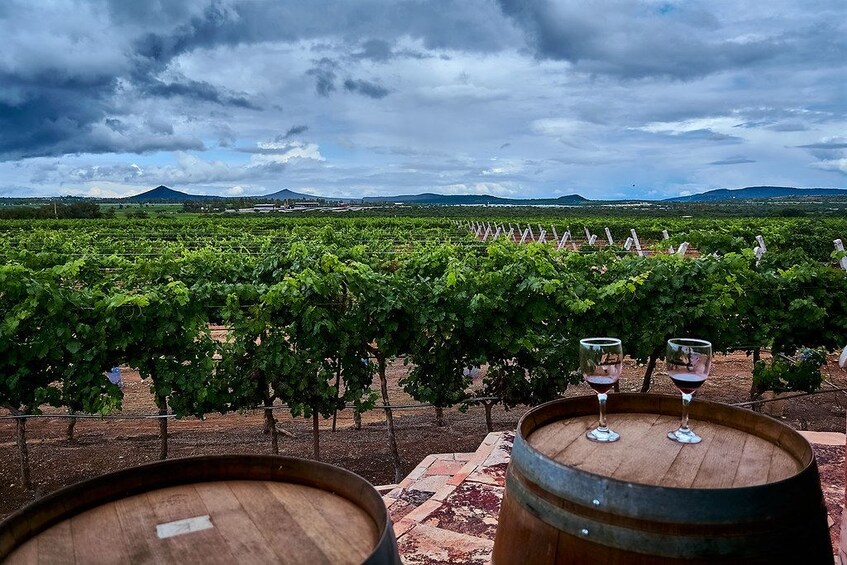 Mexico: Private wine & cheese tour to Queretaro