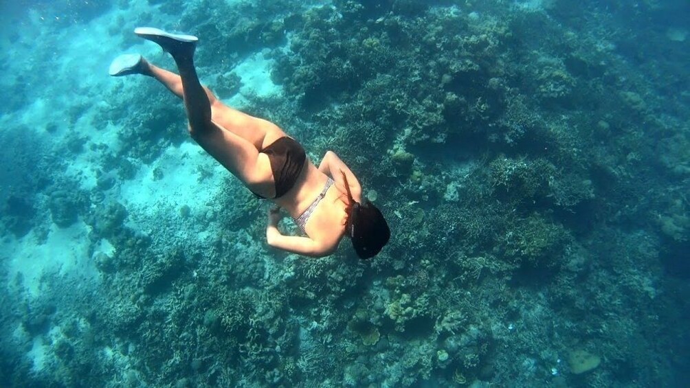 Show item 2 of 5. Coron Island Tour