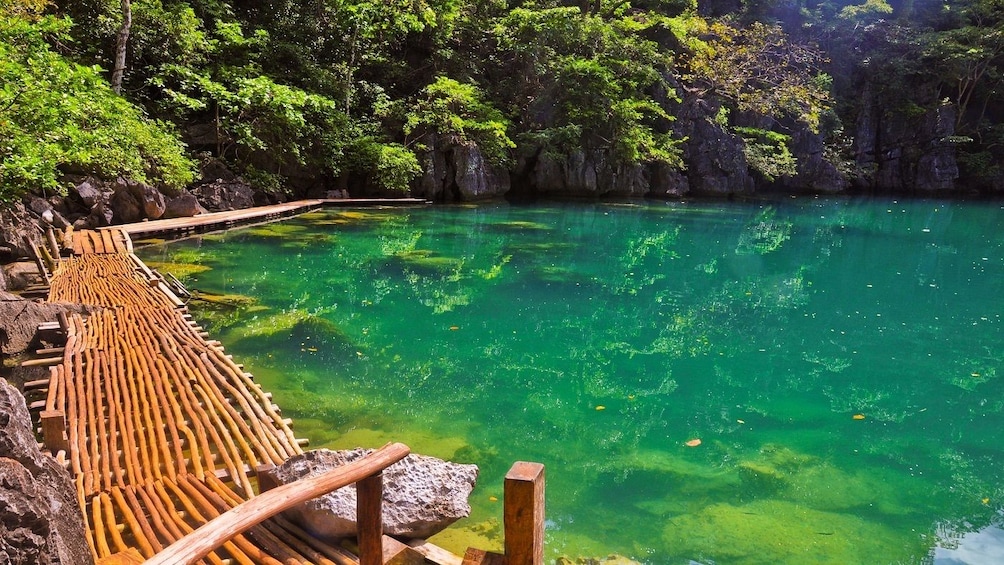 Show item 3 of 5. Coron Island Tour