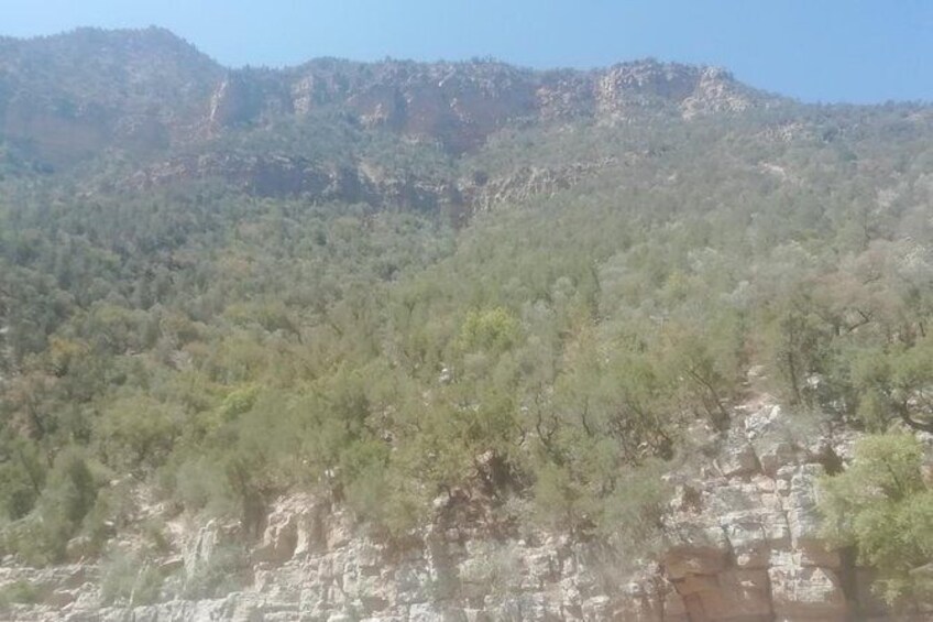 Show item 4 of 15. Paradise Valley excursion 1/2 day