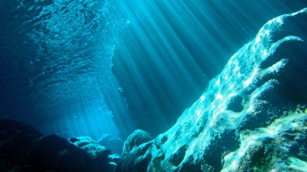 Show item 2 of 6. Saipan Grotto Cave Snorkeling and North Tour